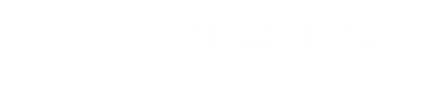 dff-logo
